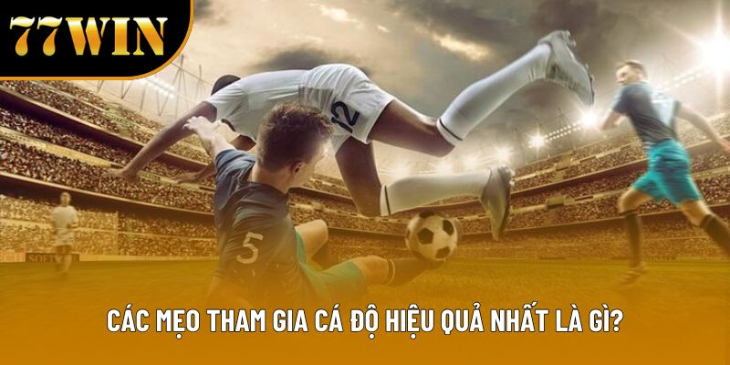 Các mẹo tham gia cá độ hiệu quả nhất là gì?
