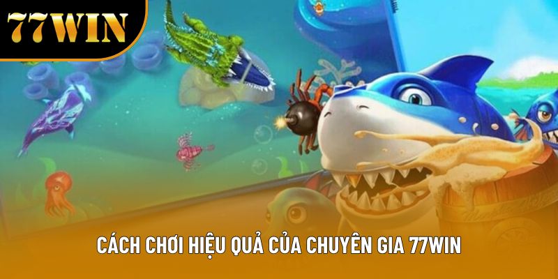 Cách chơi hiệu quả của chuyên gia 77WIN