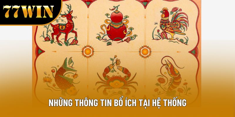 Những thông tin bổ ích tại hệ thống